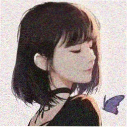 用户白噪音的头像